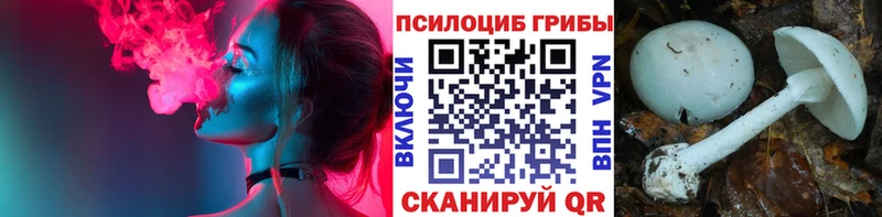 Псилоцибиновые грибы MAGIC MUSHROOMS как найти наркотики Балашов
