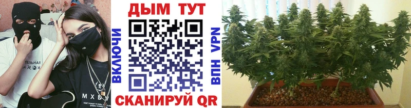 купить   Балашов  Бошки марихуана OG Kush 